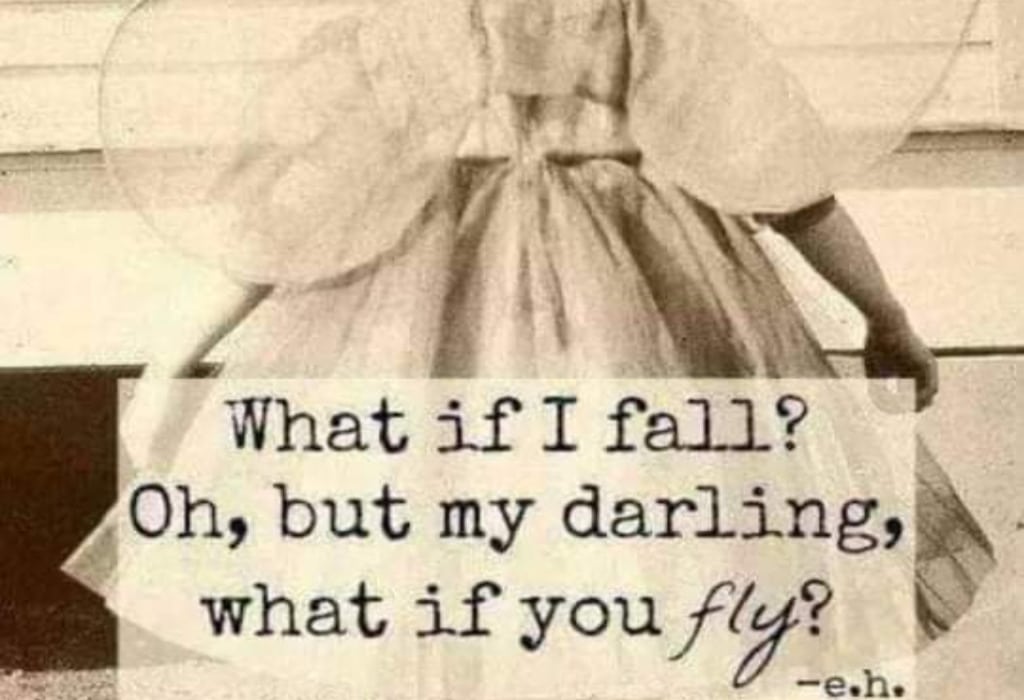 Freies Fallen Freies Fallen: https://me.me/i/what-if-i-fall-oh-but-my-darling-what-if-3373162