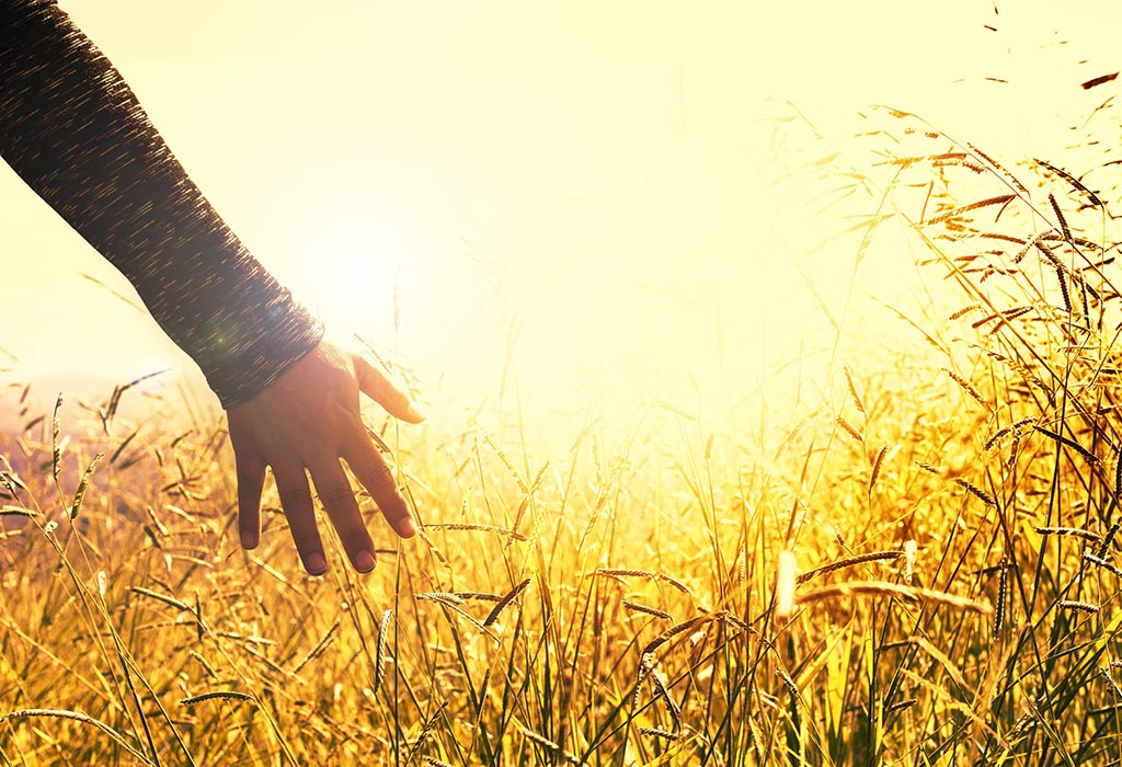 Eine offene Hand fährt durch die Ähren eines reifen Feldes, durch das die Sonne scheint. Fühlen statt Denken.