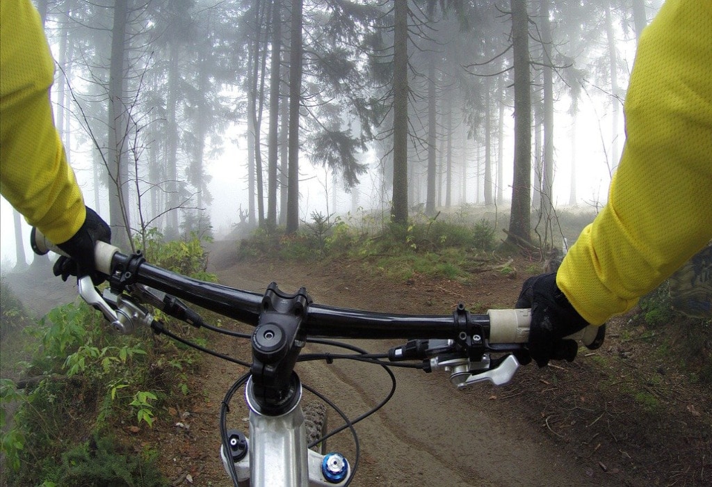 radfahren-lenker-wald-fahrrad-828646@Free-Photos (pixabay CC-0) Rollen lassen