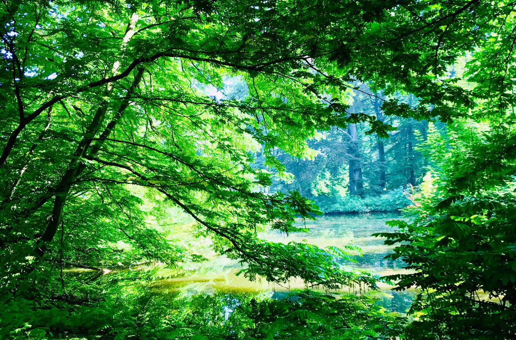 Im Licht des Augenblicks