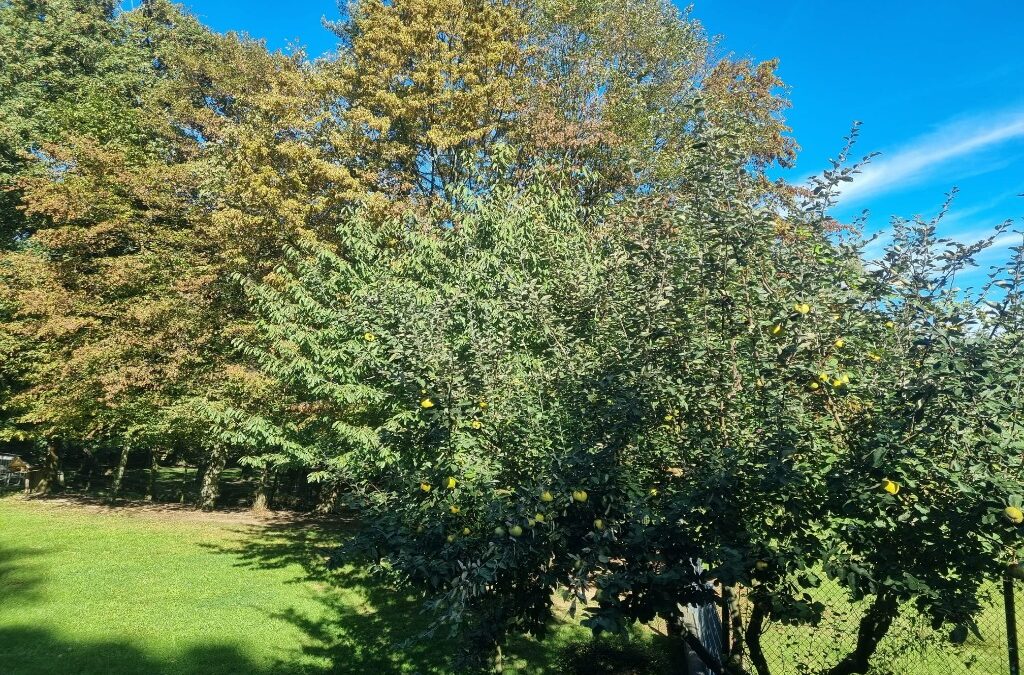 Bleib im Vertrauen …