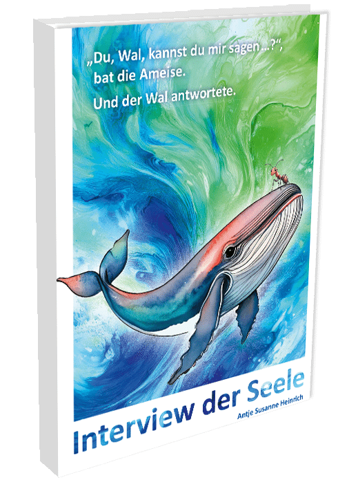 Interview der Seele